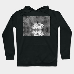 Time to pause and reflect... Hoodie